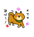犬です！毎日使えるしば犬【日常会話とか】（個別スタンプ：32）