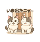 双子の子猫「ゆず＆れもん」日常スタンプ（個別スタンプ：13）