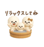 ビションフリーゼ♪家族連絡⭐︎立体.3D（個別スタンプ：8）