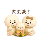 ビションフリーゼ♪家族連絡⭐︎立体.3D（個別スタンプ：30）