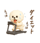 ビションフリーゼ♪家族連絡⭐︎立体.3D（個別スタンプ：33）