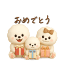 ビションフリーゼ♪家族連絡⭐︎立体.3D（個別スタンプ：37）