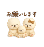 ビションフリーゼ♪家族連絡⭐︎立体.3D（個別スタンプ：40）