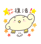小鳥のぴーこちゃん10_毎日使えるシンプル（個別スタンプ：36）