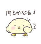 小鳥のぴーこちゃん10_毎日使えるシンプル（個別スタンプ：37）