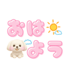 毎日使えるデカ文字♡マルチーズ（個別スタンプ：1）