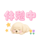 毎日使えるデカ文字♡マルチーズ（個別スタンプ：6）