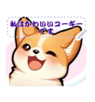 愛らしいコーギーの日常 (MJ3)（個別スタンプ：12）