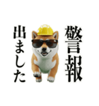 走る柴犬現場仕事☆緊急連絡用（個別スタンプ：2）