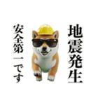 走る柴犬現場仕事☆緊急連絡用（個別スタンプ：5）