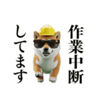 走る柴犬現場仕事☆緊急連絡用（個別スタンプ：13）