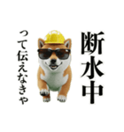 走る柴犬現場仕事☆緊急連絡用（個別スタンプ：15）
