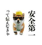 走る柴犬現場仕事☆緊急連絡用（個別スタンプ：17）