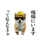 走る柴犬現場仕事☆緊急連絡用（個別スタンプ：18）