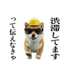 走る柴犬現場仕事☆緊急連絡用（個別スタンプ：21）