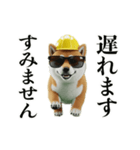 走る柴犬現場仕事☆緊急連絡用（個別スタンプ：22）
