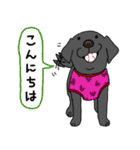 ラブラドールレトリーバーパピー吹き出し2（個別スタンプ：2）