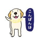 ラブラドールレトリーバーパピー吹き出し2（個別スタンプ：3）