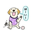 ラブラドールレトリーバーパピー吹き出し2（個別スタンプ：6）