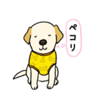ラブラドールレトリーバーパピー吹き出し2（個別スタンプ：17）