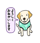 ラブラドールレトリーバーパピー吹き出し2（個別スタンプ：20）