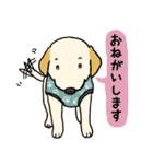 ラブラドールレトリーバーパピー吹き出し2（個別スタンプ：21）