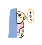 ラブラドールレトリーバーパピー吹き出し2（個別スタンプ：23）