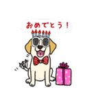 ラブラドールレトリーバーパピー吹き出し2（個別スタンプ：24）
