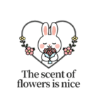 ウサギの日常スタンプ 04(EN)（個別スタンプ：2）