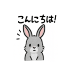 かわいいグレーうさぎの癒しスタンプ（個別スタンプ：1）