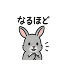 かわいいグレーうさぎの癒しスタンプ（個別スタンプ：2）