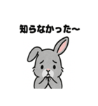 かわいいグレーうさぎの癒しスタンプ（個別スタンプ：3）