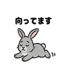 かわいいグレーうさぎの癒しスタンプ（個別スタンプ：6）