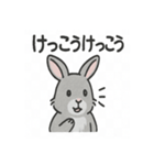 かわいいグレーうさぎの癒しスタンプ（個別スタンプ：22）