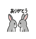 かわいいグレーうさぎの癒しスタンプ（個別スタンプ：23）
