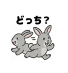 かわいいグレーうさぎの癒しスタンプ（個別スタンプ：35）