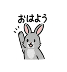 かわいいグレーうさぎの癒しスタンプ（個別スタンプ：38）