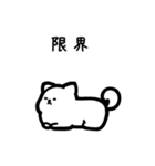 いつでも使える犬（白）（個別スタンプ：8）
