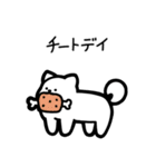 いつでも使える犬（白）（個別スタンプ：23）