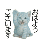 推し猫【青】……………………………（個別スタンプ：5）