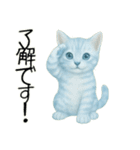 推し猫【青】……………………………（個別スタンプ：17）
