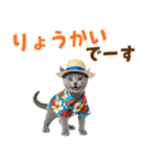 ロシアンブルー子猫の夏でか文字（個別スタンプ：7）