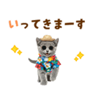 ロシアンブルー子猫の夏でか文字（個別スタンプ：8）