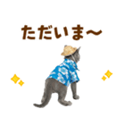ロシアンブルー子猫の夏でか文字（個別スタンプ：9）