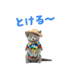 ロシアンブルー子猫の夏でか文字（個別スタンプ：11）