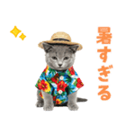ロシアンブルー子猫の夏でか文字（個別スタンプ：14）