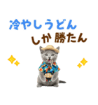 ロシアンブルー子猫の夏でか文字（個別スタンプ：23）