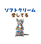 ロシアンブルー子猫の夏でか文字（個別スタンプ：24）