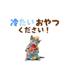 ロシアンブルー子猫の夏でか文字（個別スタンプ：25）