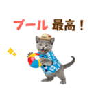 ロシアンブルー子猫の夏でか文字（個別スタンプ：27）
